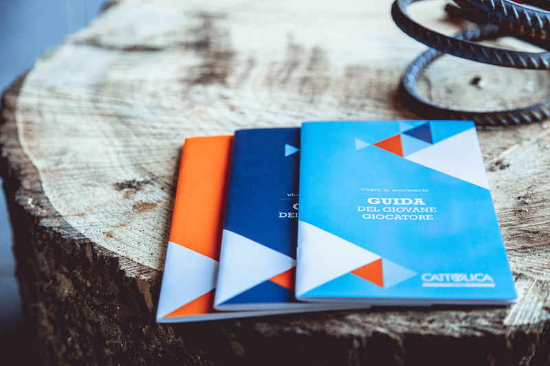 Three printed NewSportVision guides laid on a wooden slab.